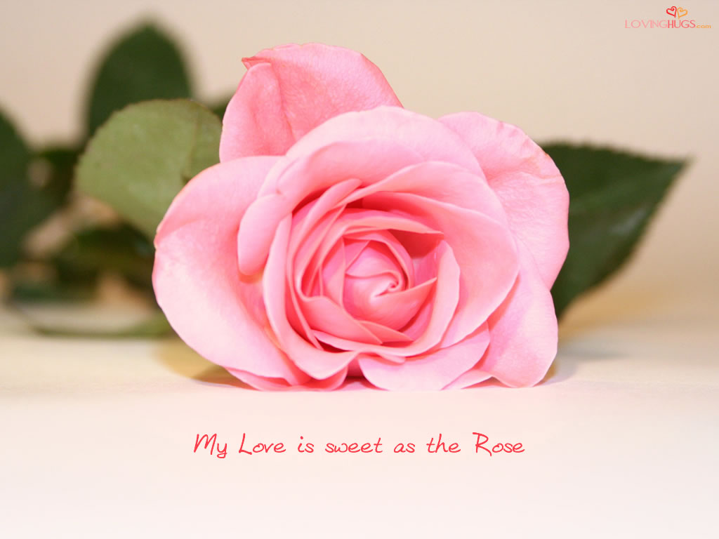 My love is sweet as roses